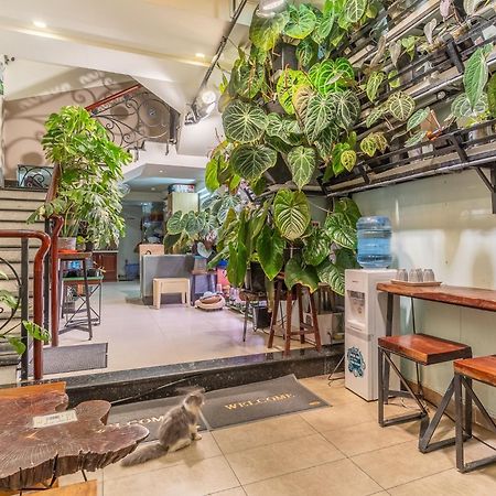 Hostel Amango Dorm Ho Chi Minh Zewnętrze zdjęcie
