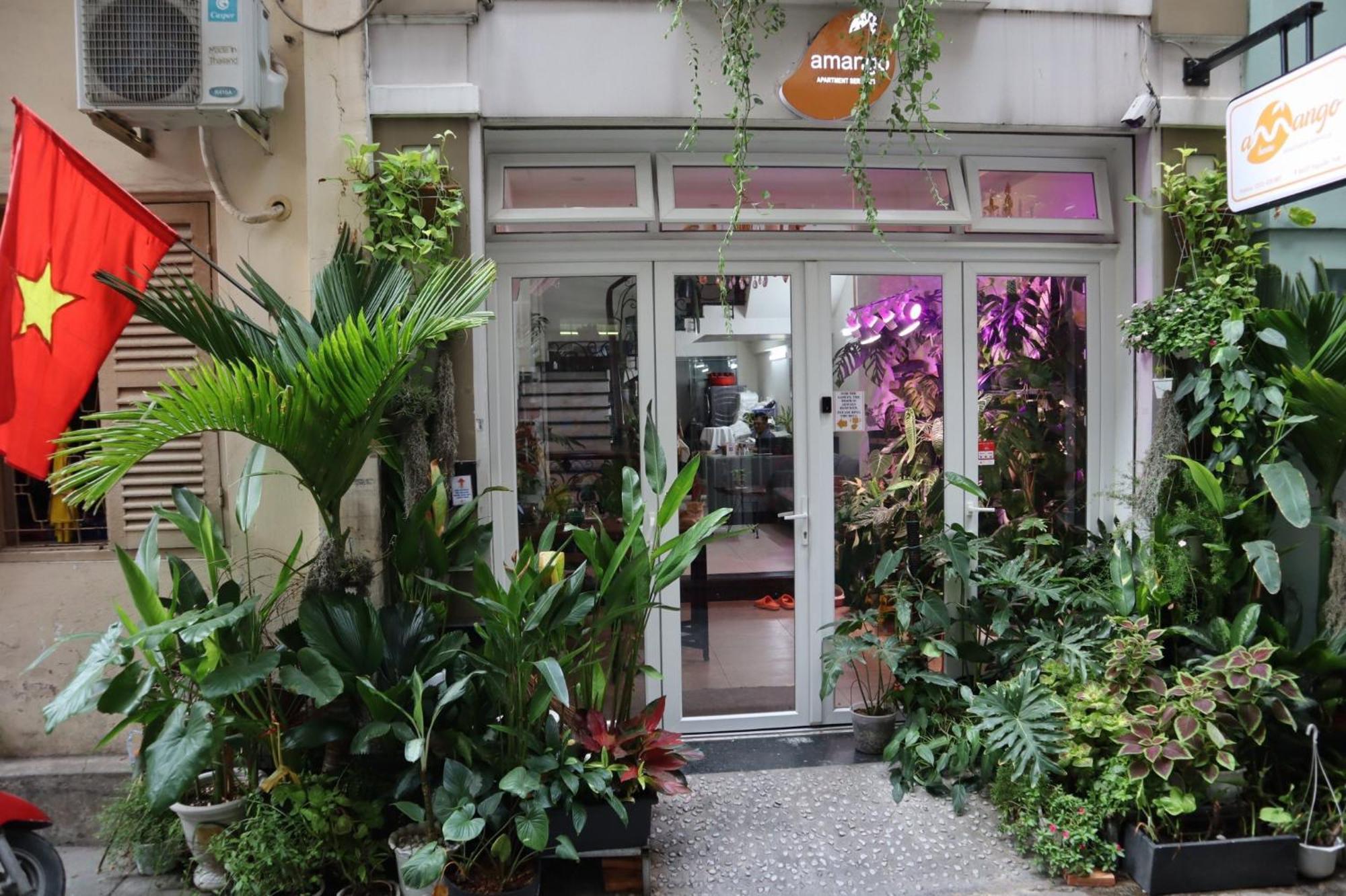 Hostel Amango Dorm Ho Chi Minh Zewnętrze zdjęcie