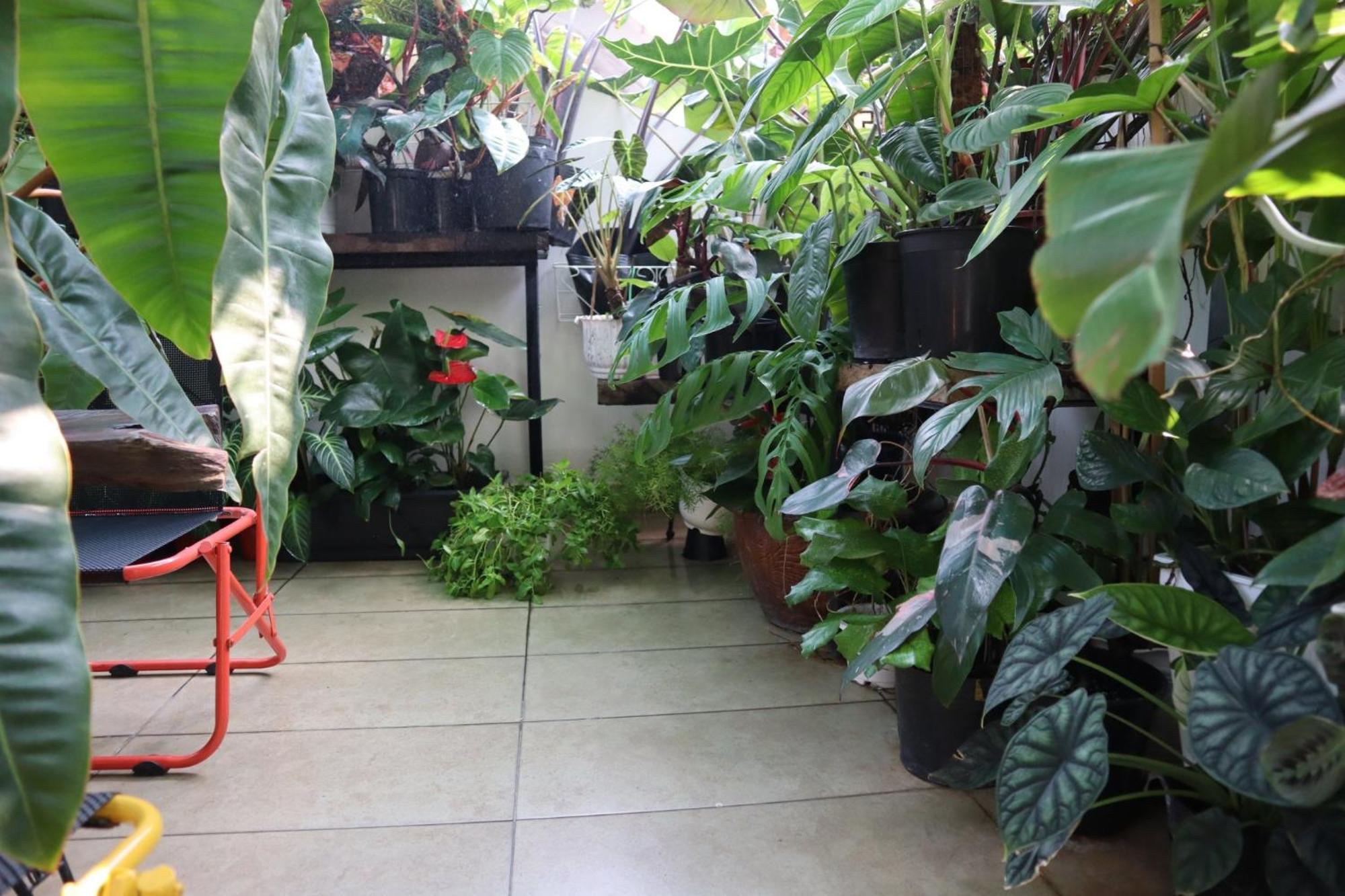 Hostel Amango Dorm Ho Chi Minh Zewnętrze zdjęcie